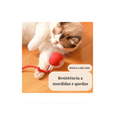 Bola de rolamento elétrica automática para gatinhos