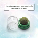 Brinquedo bola adesiva de parede com erva natural para gato.