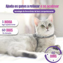 Coleira calmante para gatos