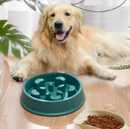 Alimentador lento para cães e gatos