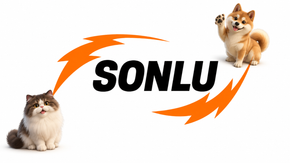Loja Sonlu
