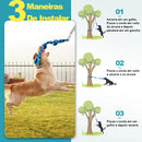 Brinquedo Interativo