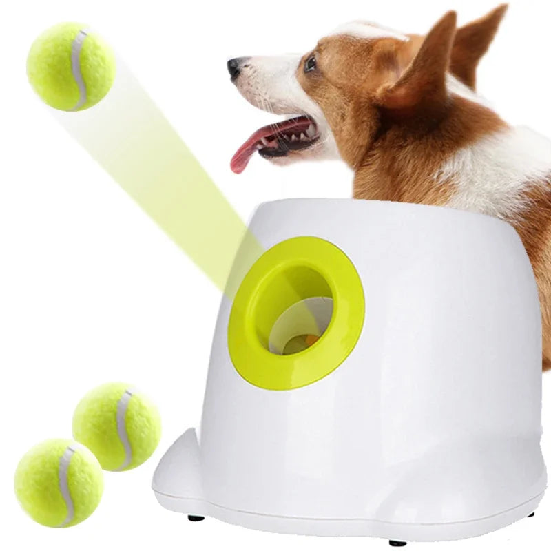 Máquina de arremesso de tênis para cães