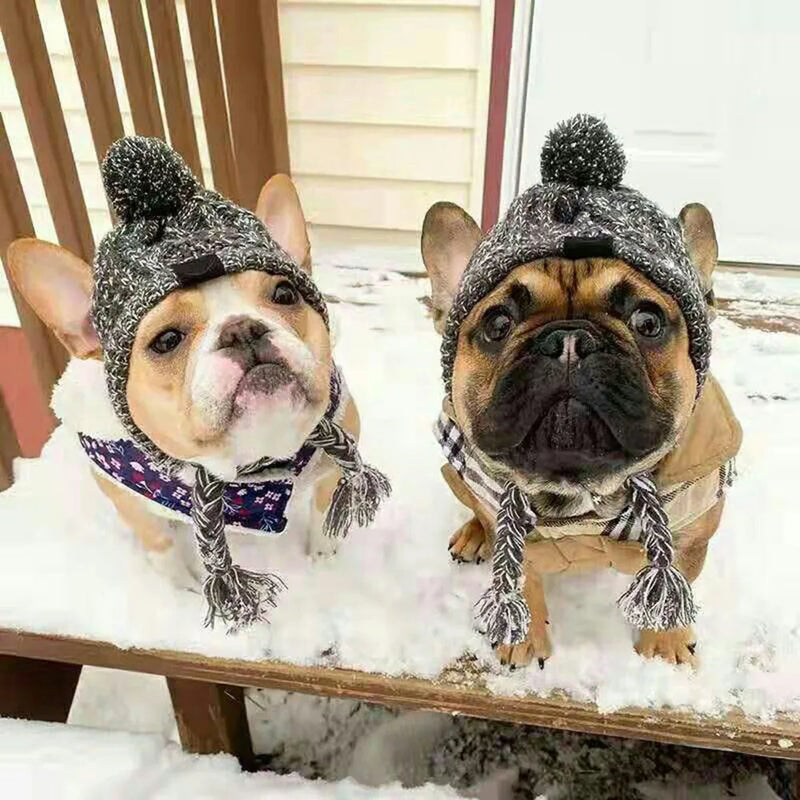 Chapéu de inverno macio para cachorro