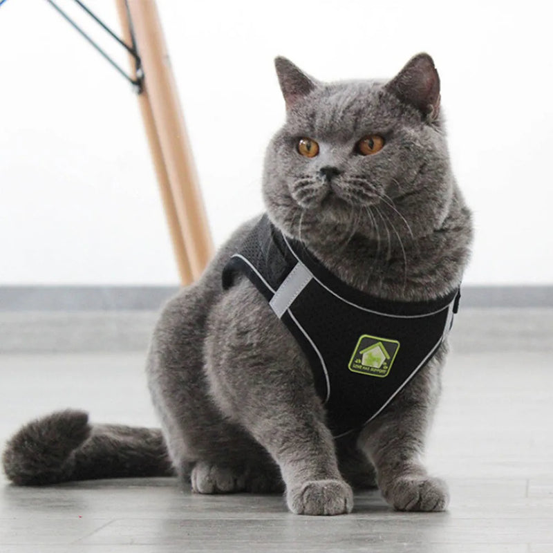 Arnês e coleira para gatos e cães de estimação, respirável, ajustável, à prova de fuga