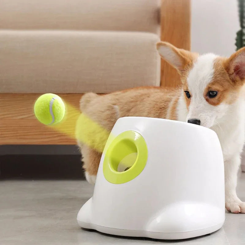 Máquina de arremesso de tênis para cães