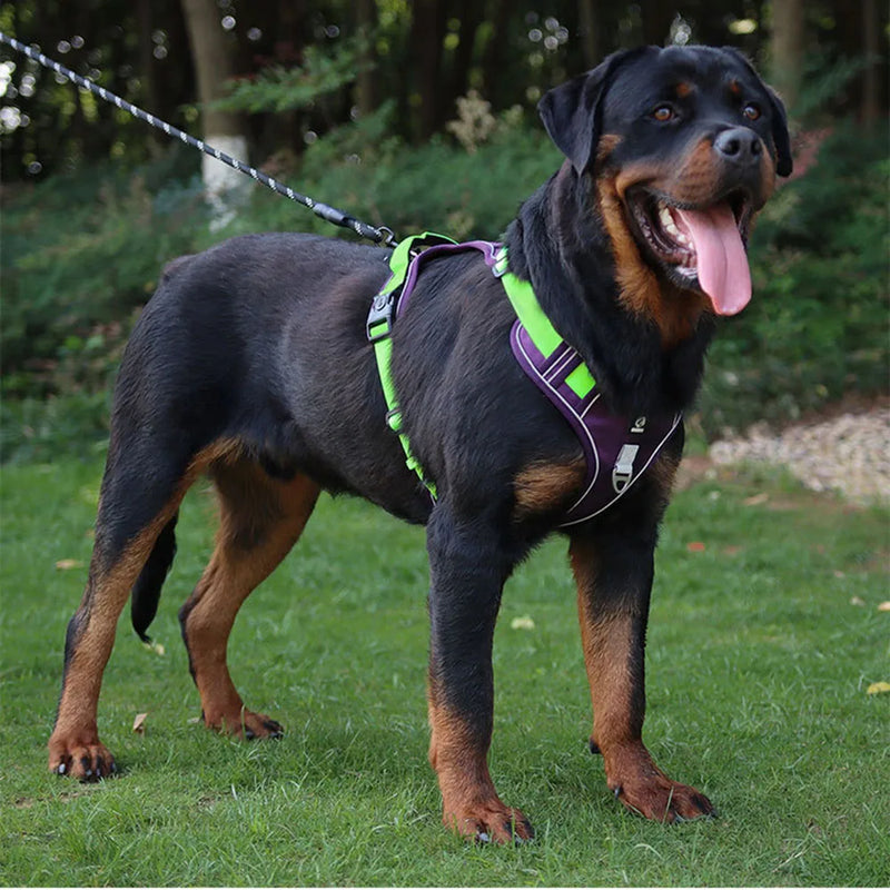Arnês para cães forte, arnês para caminhada para cães grandes