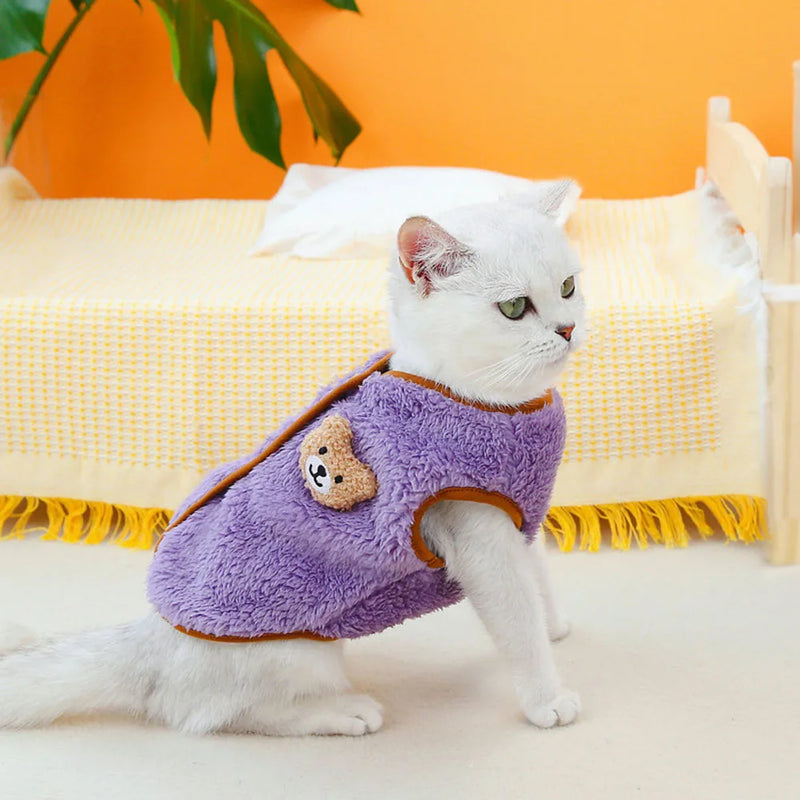 Roupas de inverno para gatos
