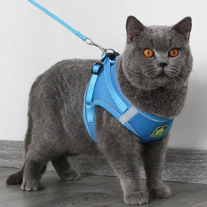 Arnês e coleira para gatos e cães de estimação, respirável, ajustável, à prova de fuga