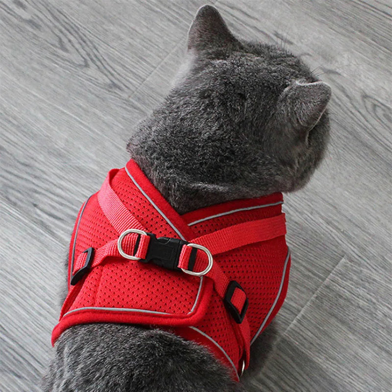 Arnês e coleira para gatos e cães de estimação, respirável, ajustável, à prova de fuga