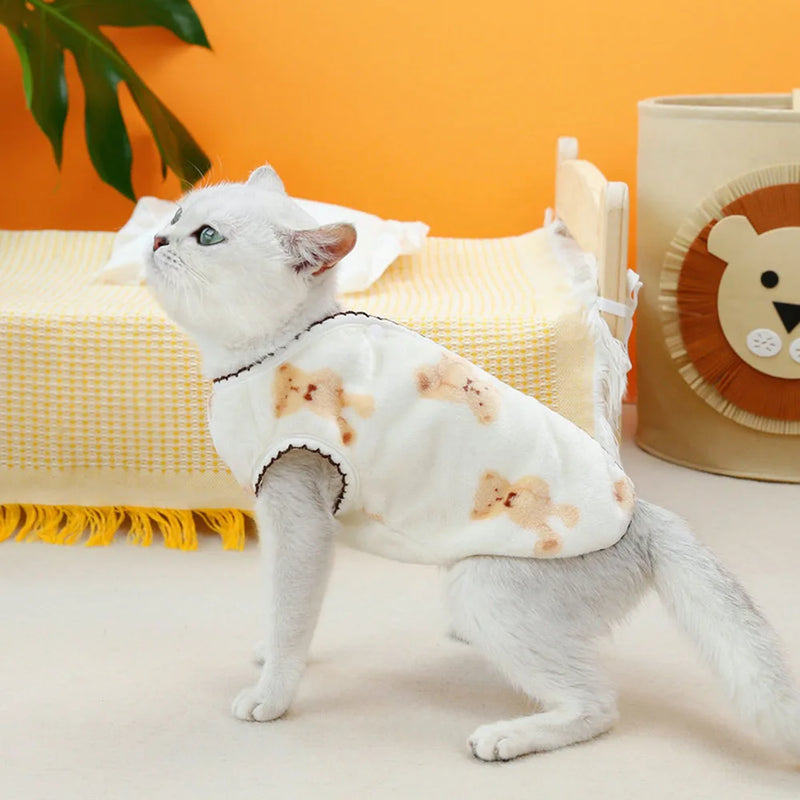 Roupas de inverno para gatos