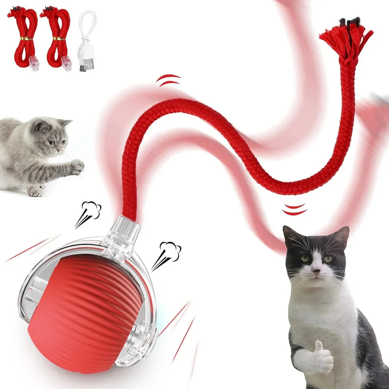 Bola de rolamento elétrica automática para gatinhos