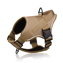 44025732268197|44025732300965|44025732333733|44025732366501