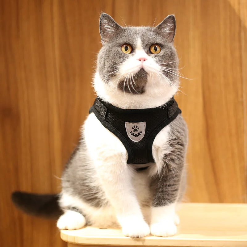 Arnês e coleira para gatos e cães de estimação, respirável, ajustável, à prova de fuga