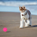 Bolas de brinquedo para cães
