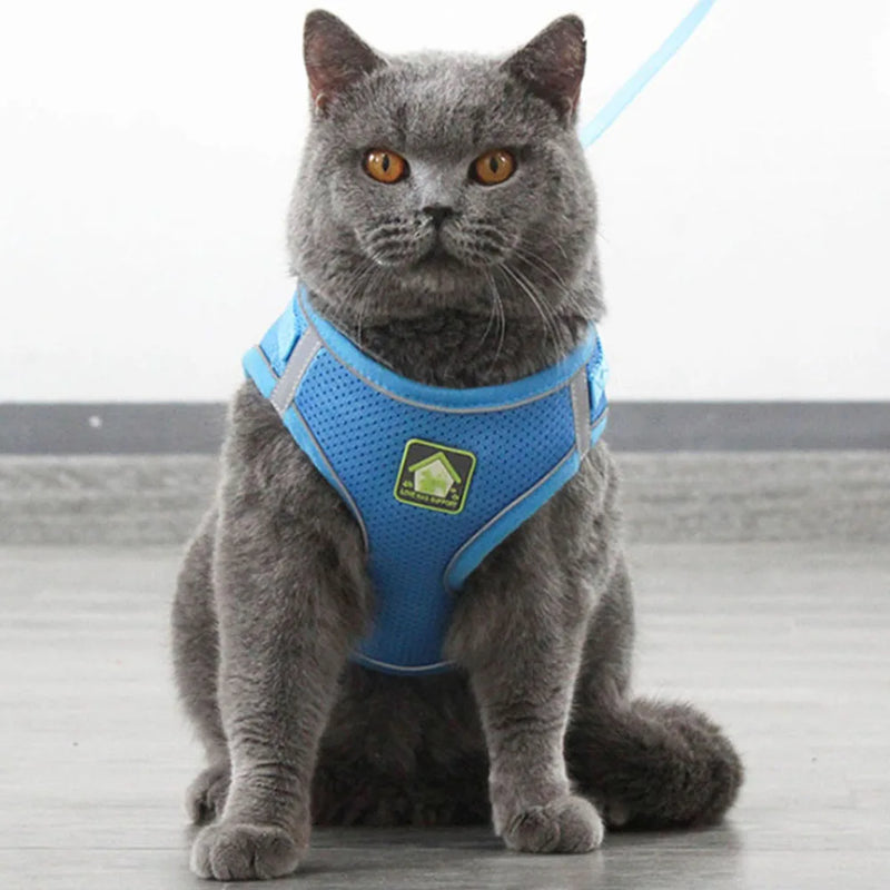 Arnês e coleira para gatos e cães de estimação, respirável, ajustável, à prova de fuga