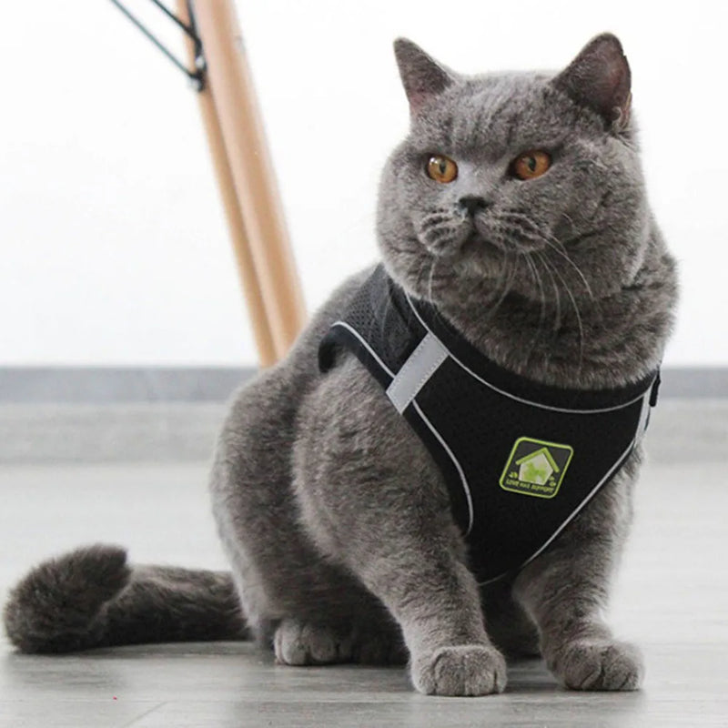 Arnês e coleira para gatos e cães de estimação, respirável, ajustável, à prova de fuga