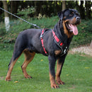Arnês para cães forte, arnês para caminhada para cães grandes