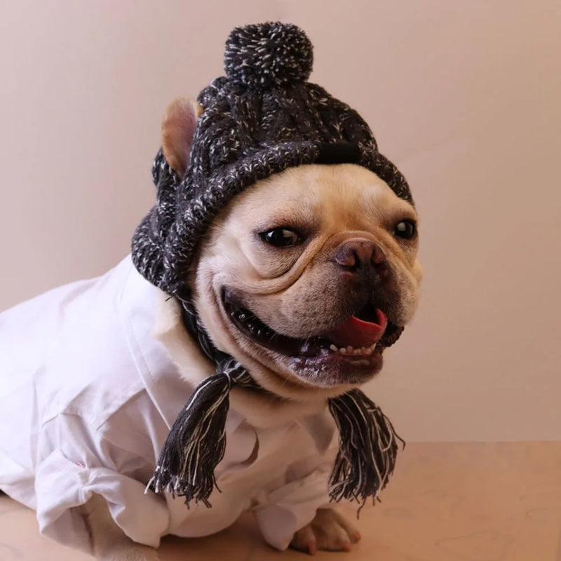Chapéu de inverno macio para cachorro