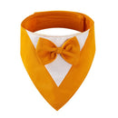 43929784778917|43929784811685|43929784844453|43929784877221