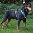 Arnês para cães forte, arnês para caminhada para cães grandes
