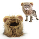 Traje de juba de Leão