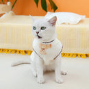 Roupas de inverno para gatos