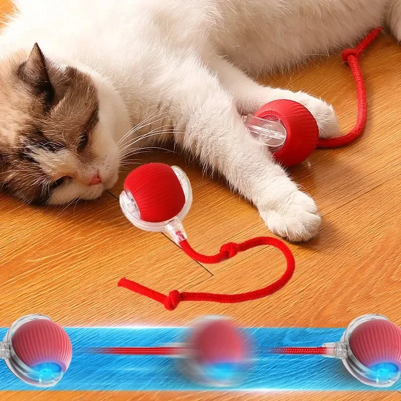 Bola de rolamento elétrica automática para gatinhos