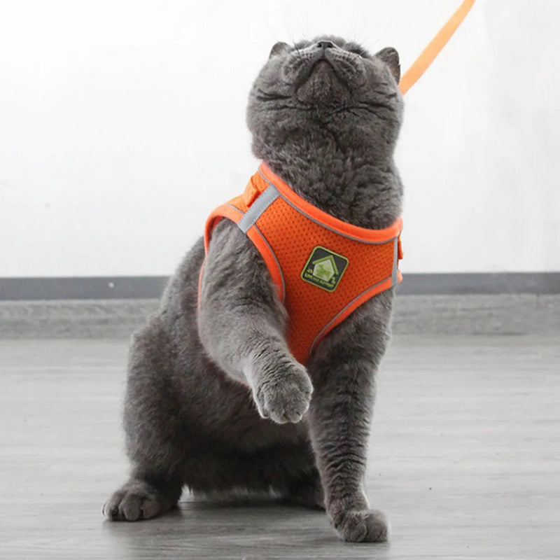 Arnês e coleira para gatos e cães de estimação, respirável, ajustável, à prova de fuga
