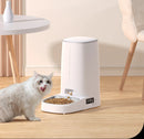 Alimentador automático para gatos