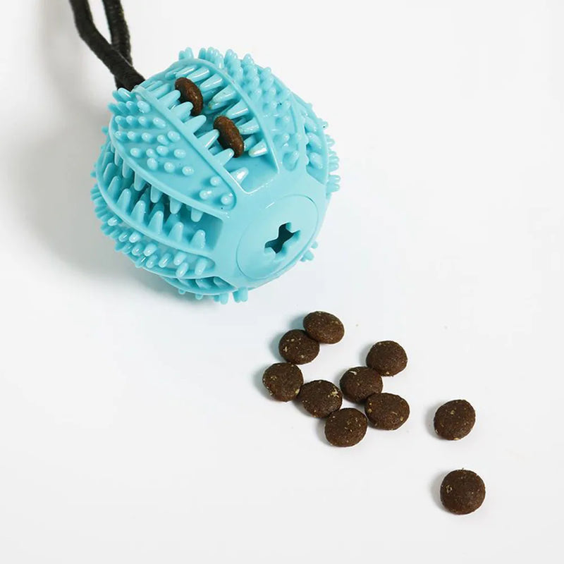 Bola de mastigação para cães