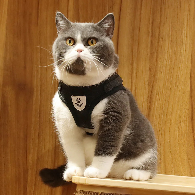 Arnês e coleira para gatos e cães de estimação, respirável, ajustável, à prova de fuga