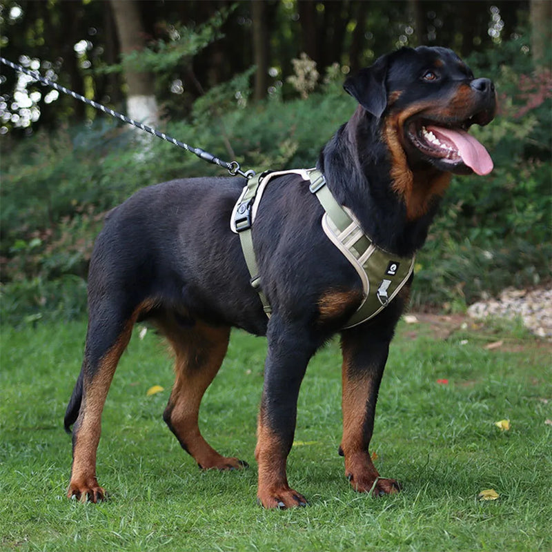 Arnês para cães forte, arnês para caminhada para cães grandes