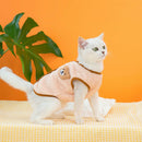Roupas de inverno para gatos
