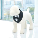 Colar Smoking para cão e gato