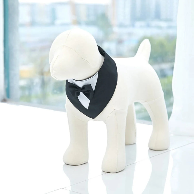 Colar Smoking para cão e gato