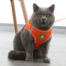 Arnês e coleira para gatos e cães de estimação, respirável, ajustável, à prova de fuga