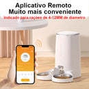 Alimentador automático para gatos