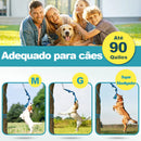 Brinquedo Interativo