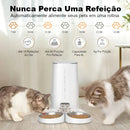 Alimentador automático para gatos