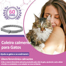 Coleira calmante para gatos
