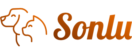 Loja Sonlu