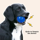 Bolinhas de Brinquedos para cachorros