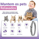 Coleira calmante para gatos