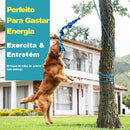 Brinquedo Interativo