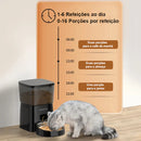 Alimentador automático para gatos