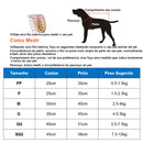 Capa de chuva fofa em forma de urso