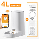 Alimentador automático para gatos